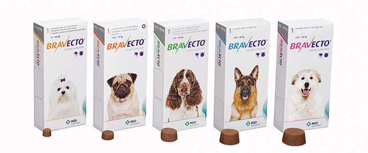 таблетки от клещей для собак бравекто инструкция
