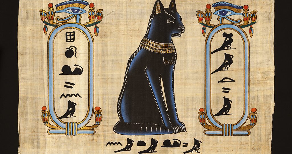 Кошки в Египте – почему их считают священными животными